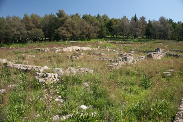 Argos - Aspis sanctuary - General view of the ancient site